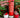 Strawberry Garden BruMate & Water Bottle Accessories