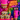 Neon Safari