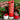 Strawberry Garden - BruMate