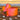 Gracie Sunset Sorbet Straw Topper