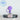 Purple Shell Straw Topper