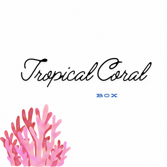 Tropical Coral Box