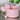 Gracie Petal Pink Straw Topper