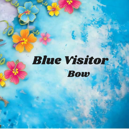 Blue Visitor Donut Bow