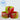 Basketweave Holiday Lime & Red Boot