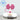 Gracie Bubblegum Straw Topper