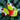 Basketweave Holiday Lime & Red Boot