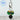 Mini Gracie Pop Dangles - Green Witch